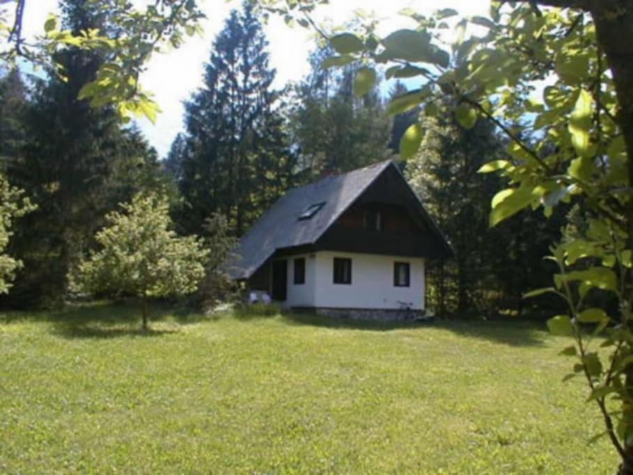 Apartment Lake Bohinj No. 5 Luaran gambar