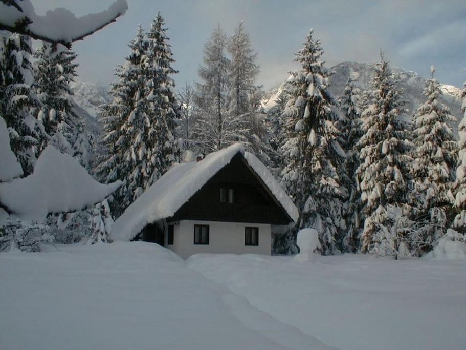 Apartment Lake Bohinj No. 5 Luaran gambar