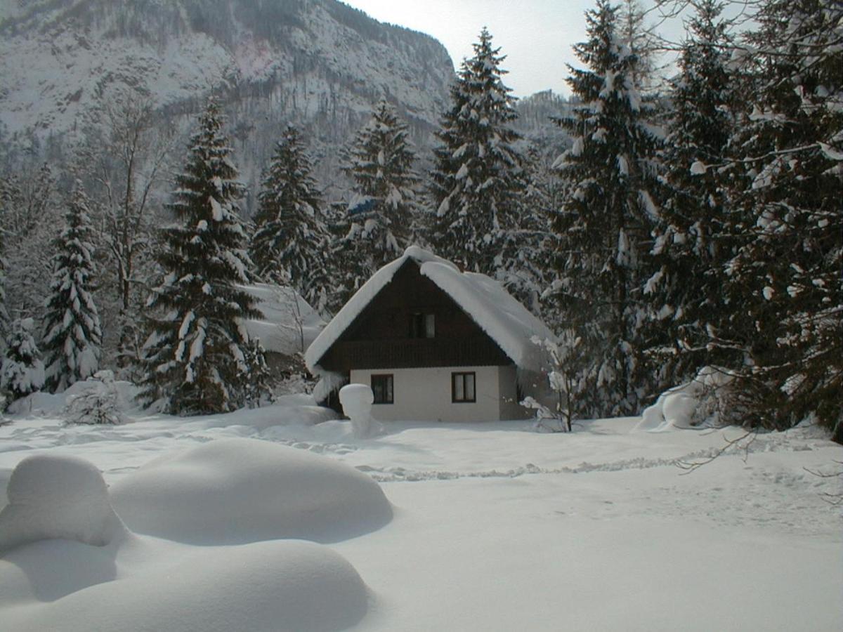 Apartment Lake Bohinj No. 5 Luaran gambar