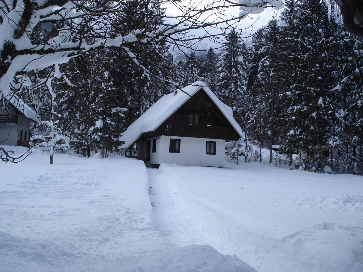Apartment Lake Bohinj No. 5 Luaran gambar